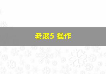 老滚5 操作